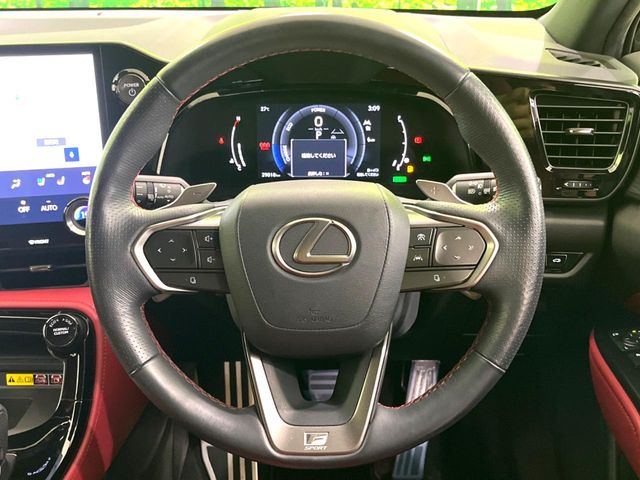 Lexus NX 12
