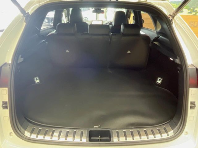 Lexus NX 11