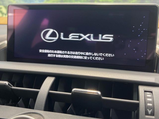Lexus NX 4