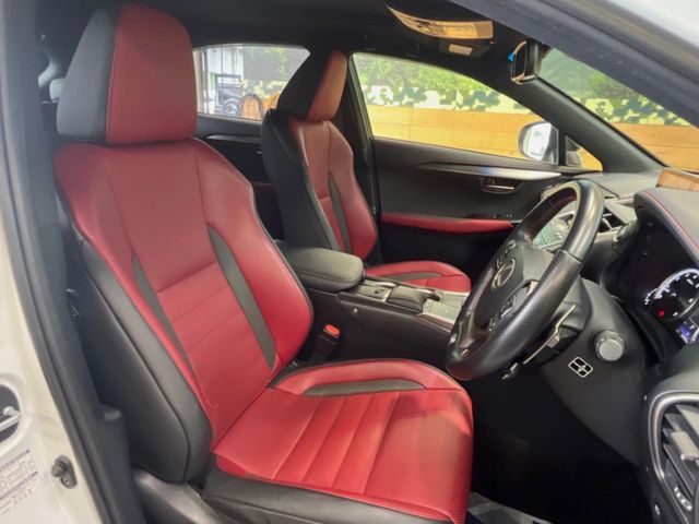 Lexus NX 9