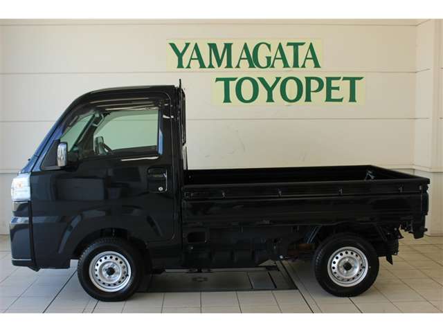 Toyota Pixis Truck 2