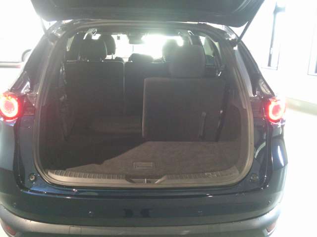 Mazda CX-8 12