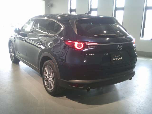 Mazda CX-8 7