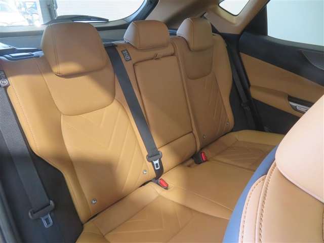 Lexus NX 11