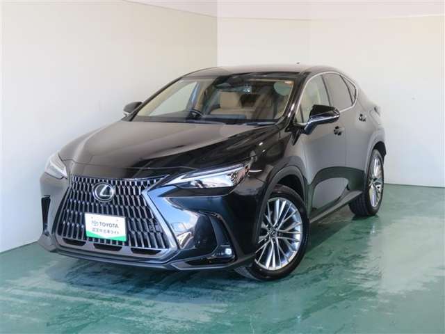 Lexus NX 12