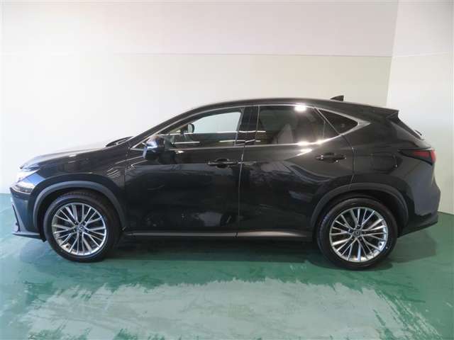 Lexus NX 7