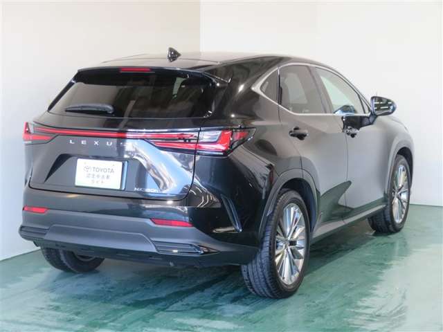 Lexus NX 8