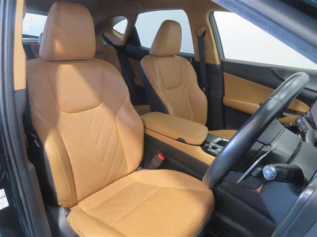 Lexus NX 10