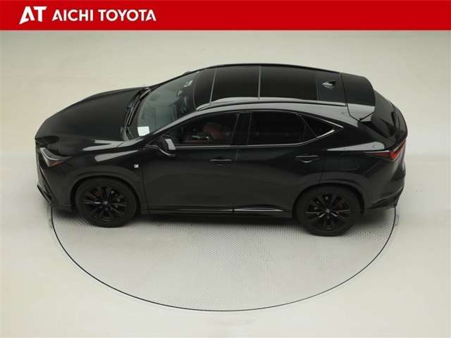 Lexus NX 11