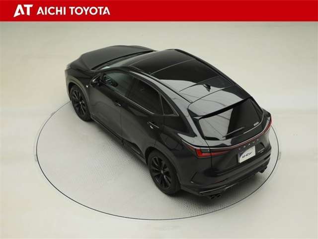 Lexus NX 12