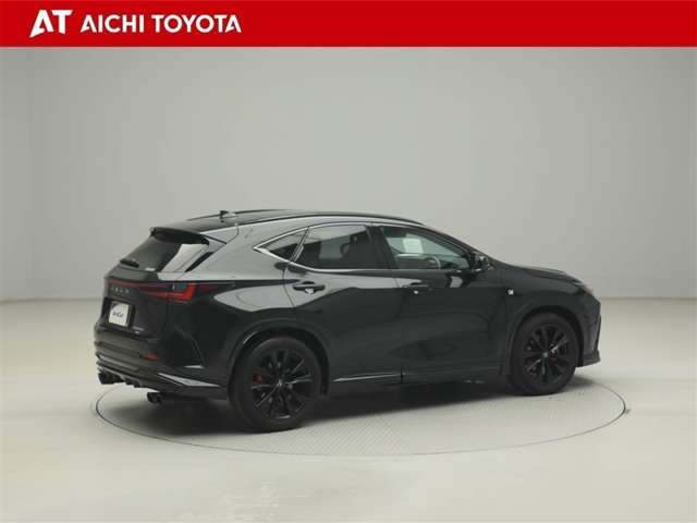 Lexus NX 6