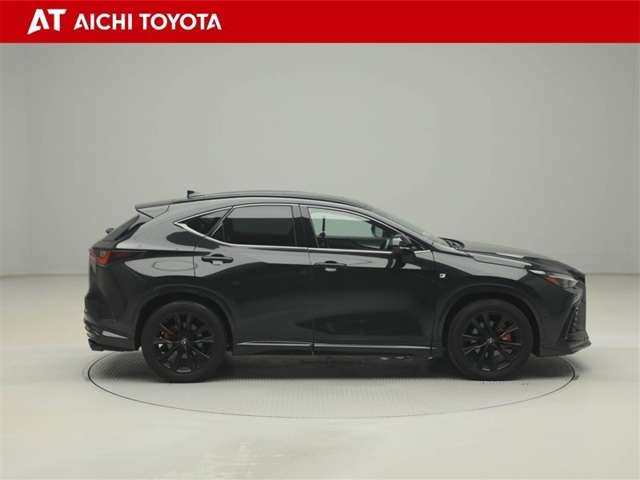 Lexus NX 7