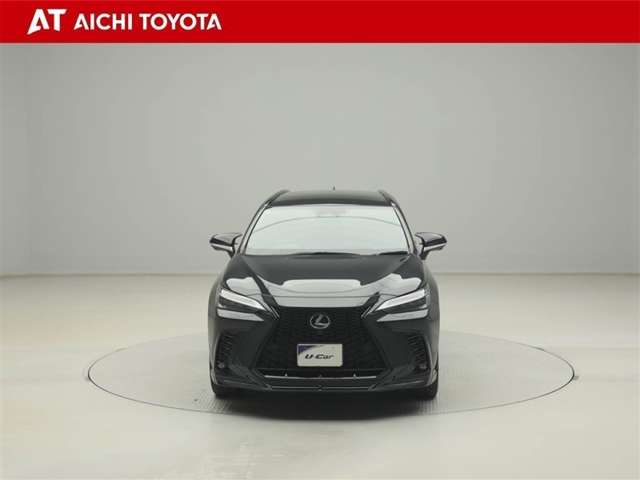 Lexus NX 9