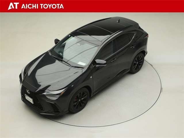 Lexus NX 10
