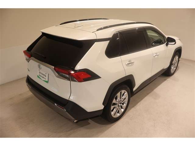 Toyota RAV4 10
