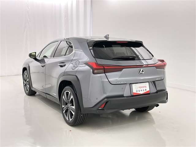 Lexus UX 6