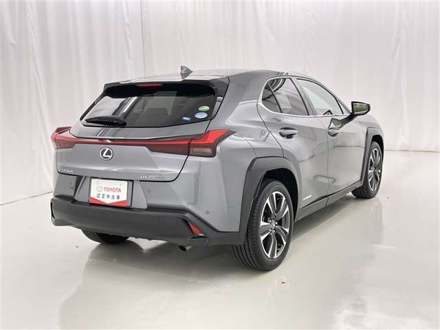 Lexus UX 7