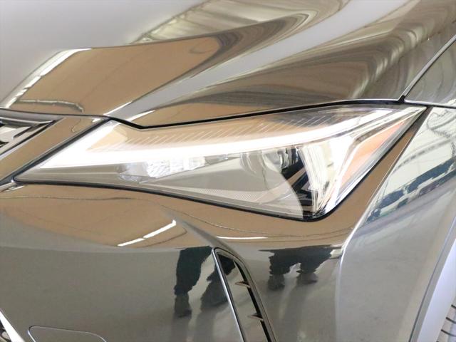 Lexus UX 8