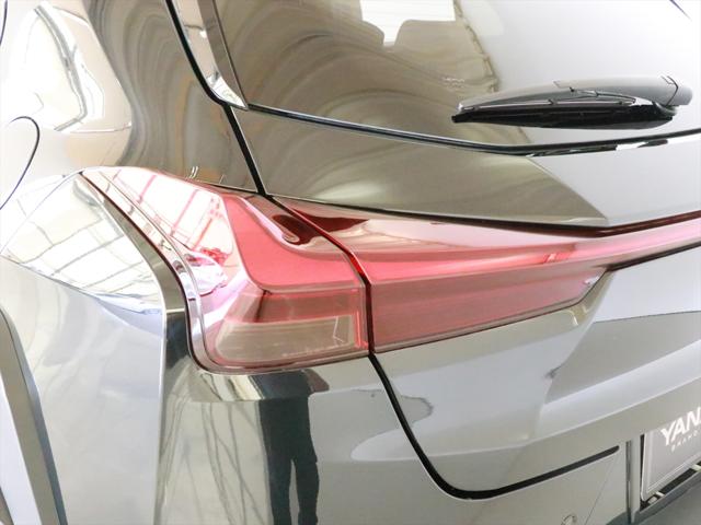 Lexus UX 9