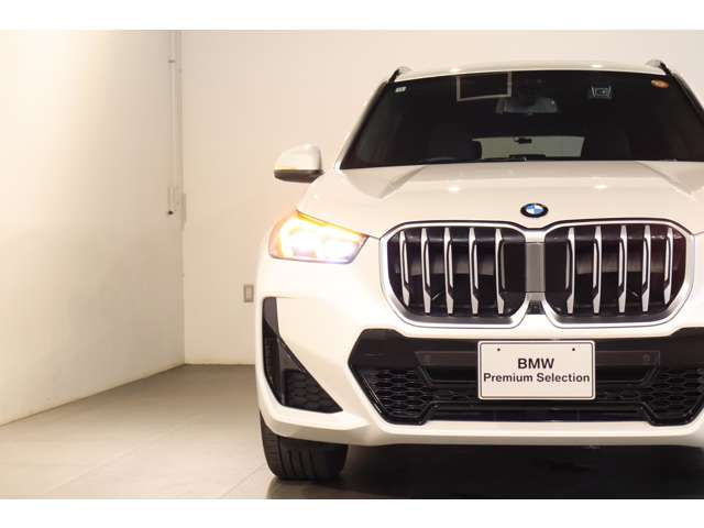 BMW X1 10