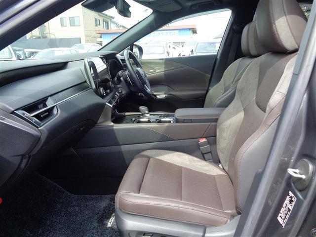 Lexus RX 11