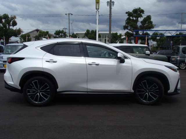 Lexus NX 3