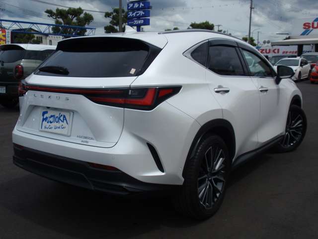 Lexus NX 4