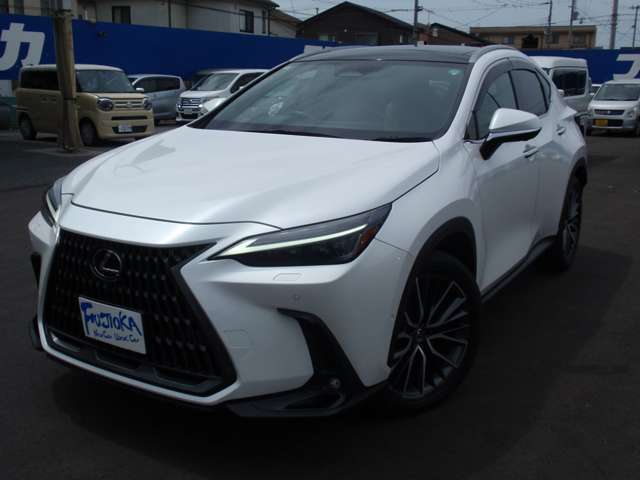 Lexus NX 7