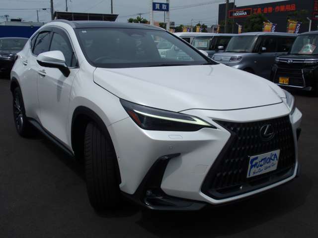 Lexus NX 9