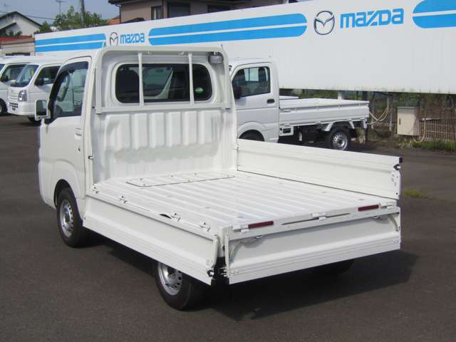Toyota Pixis Truck 10