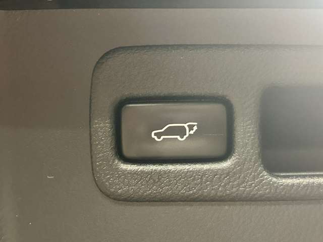 Lexus NX 11