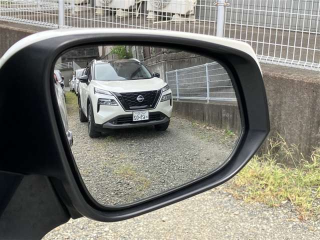 Toyota Alphard 6