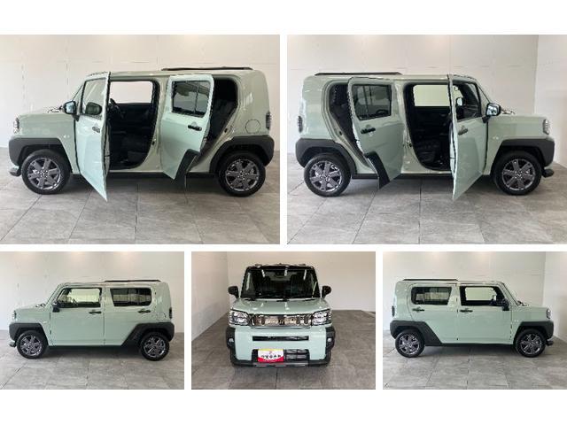 Daihatsu Taft 8
