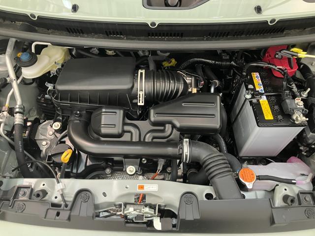 Daihatsu Taft 9