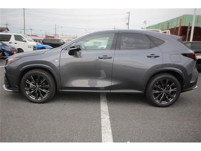 Lexus NX 11