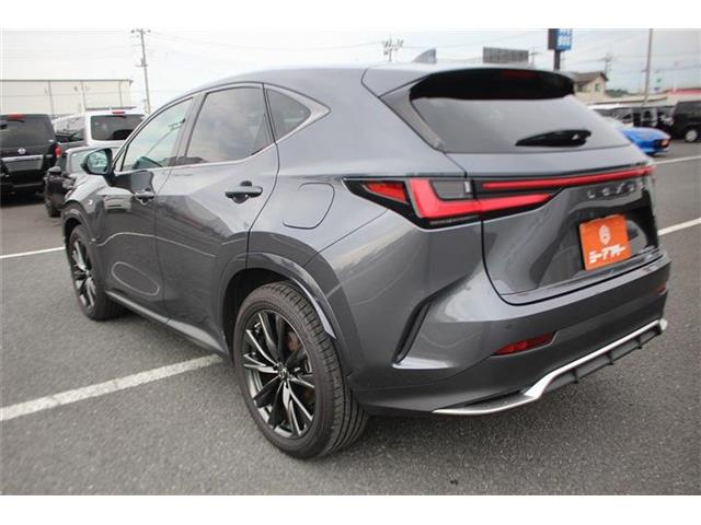 Lexus NX 12