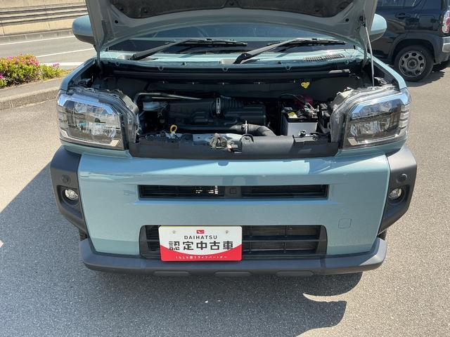 Daihatsu Taft 10