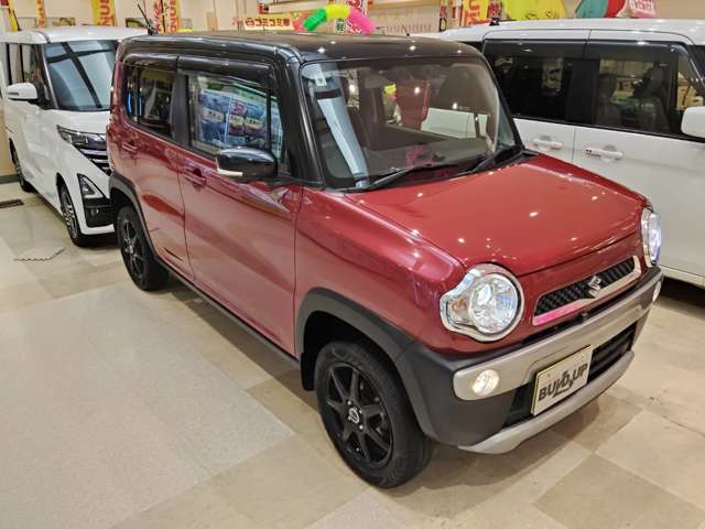 Suzuki Hustler 4
