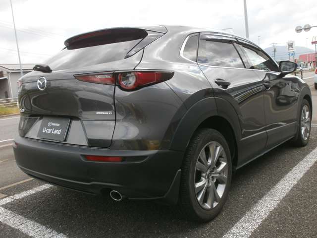 Mazda CX-30 6