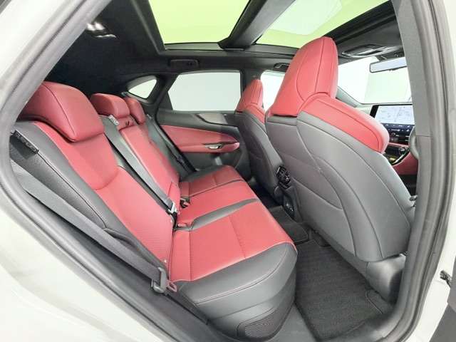 Lexus NX 12