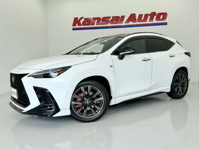 Lexus NX 6