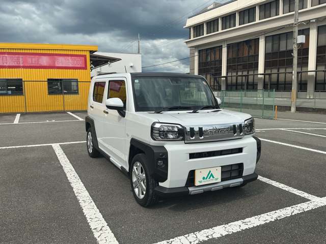 Daihatsu Taft 10