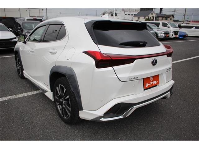Lexus UX 12
