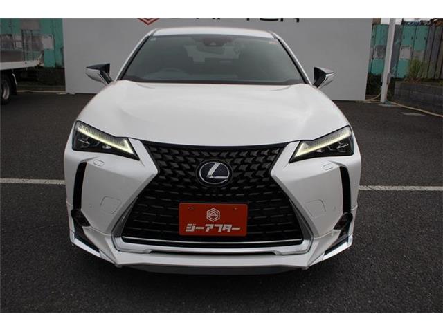 Lexus UX 9