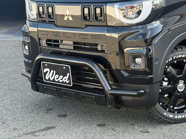 Mitsubishi Delica Mini 3