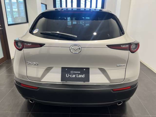 Mazda CX-30 3