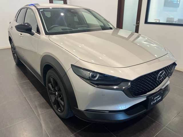 Mazda CX-30 6