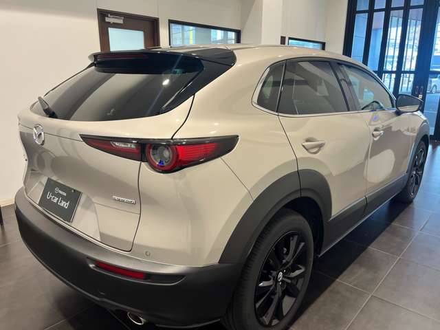 Mazda CX-30 7