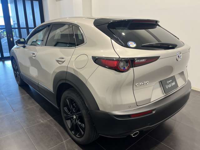 Mazda CX-30 8