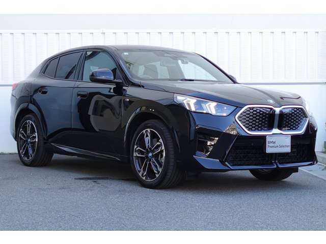 BMW iX2 10
